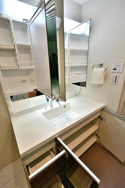 九品仏第2スカイハイツ　洗面台
