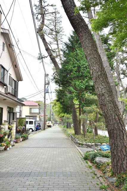 九品仏第2スカイハイツ　浄真寺