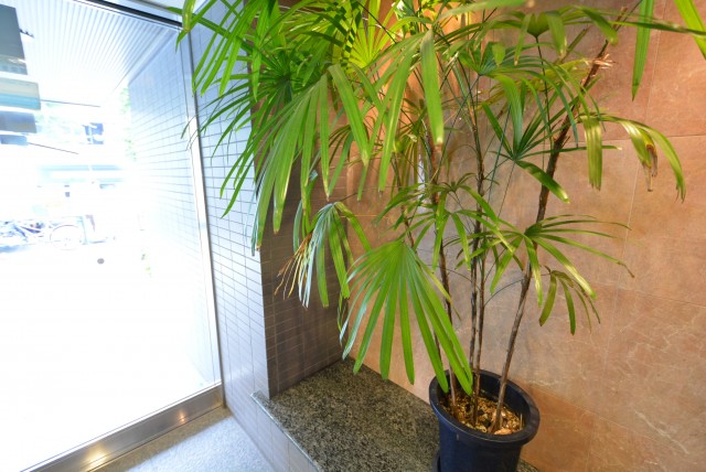 シティウインズ本駒込　エントランスホール