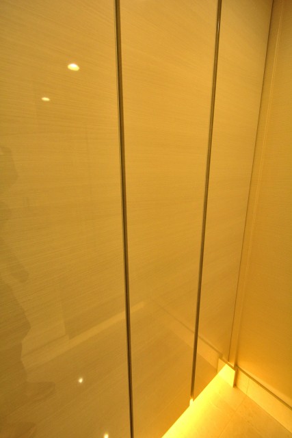 ライオンズマンション駒沢　シューズボックス