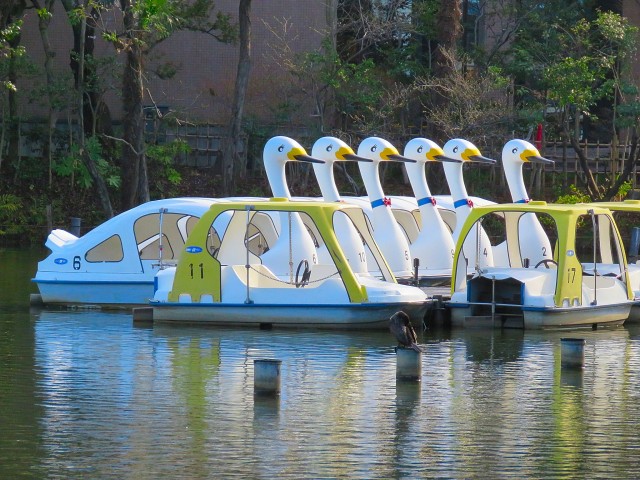 洗足ミナミプラザ　洗足池