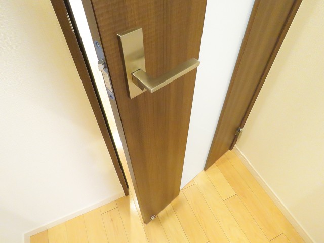 洗足ミナミプラザ　ＬＤＫ扉