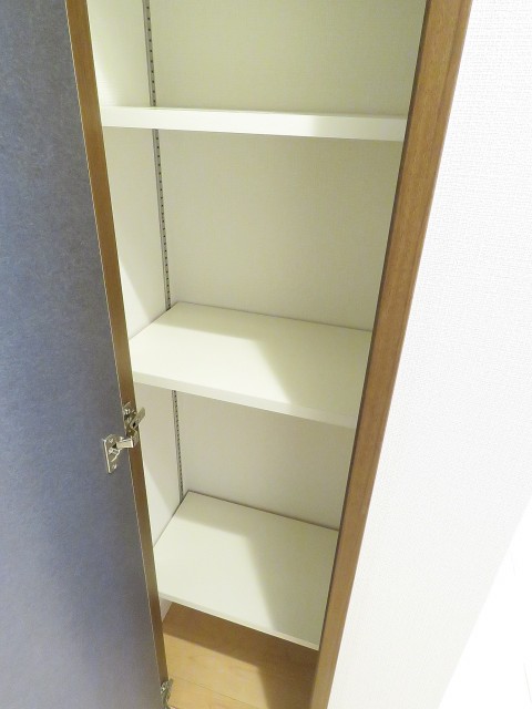 洗足ミナミプラザ　ＬＤＫ内の物入れ