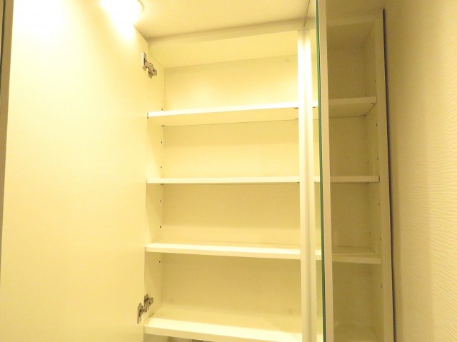 センチュリー巣鴨　洗面化粧台