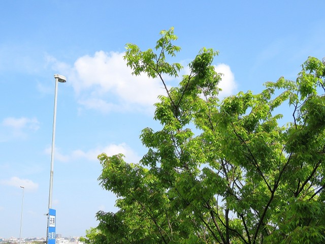 ユニーブル明大前　眺望