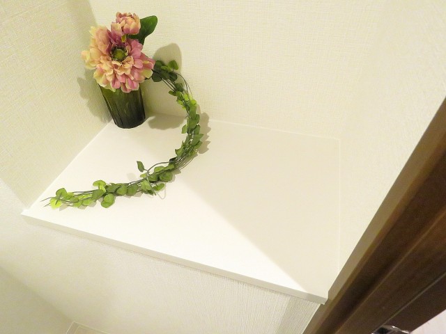 ナイスアーバン石川台　トイレ内のカウンター