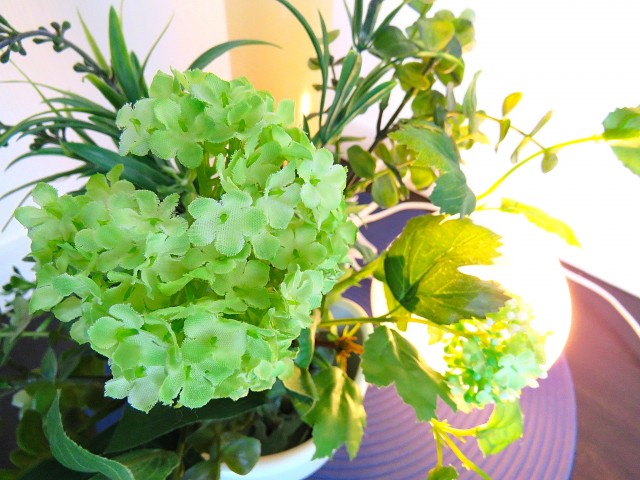 白金台桜苑マンション　