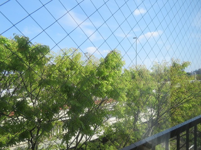 ユニーブル明大前　窓の外