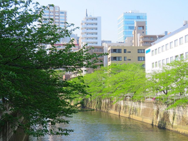 ファムール目黒　目黒川