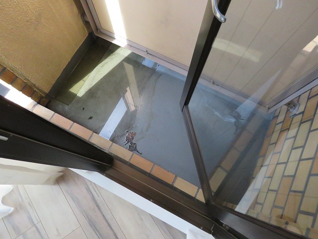 日興児玉パレス南青山　バルコニー