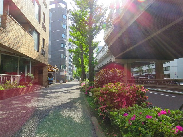 日興児玉パレス南青山　前面道路