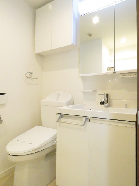 レヂオンス大山　トイレと洗面化粧台
