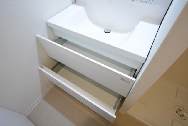 ルピナス桜上水 洗面室