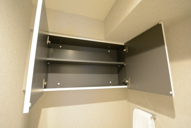 三田ダイヤモンドパレスA棟 (96)トイレ