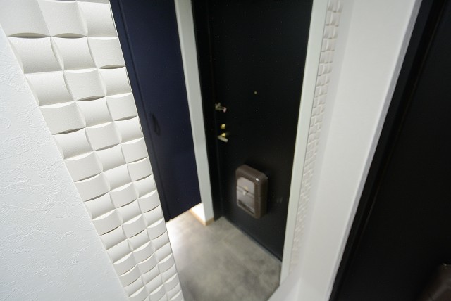 ナイスアーバン石川台 玄関