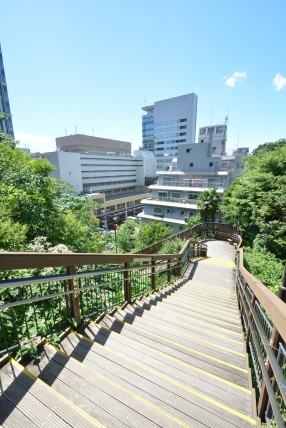 三田ダイヤモンドパレスA棟 その他