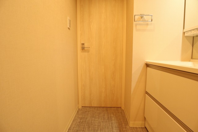 田町スカイハイツ 脱衣所