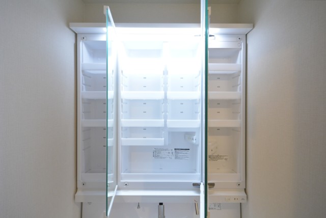 ルピナス桜上水 洗面室