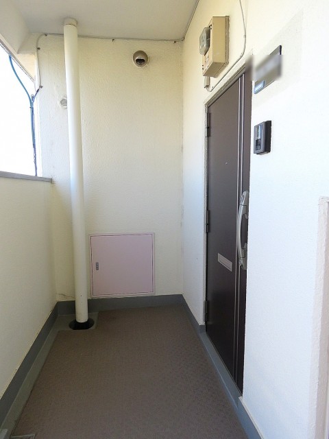 ダイアパレス弦巻　玄関扉