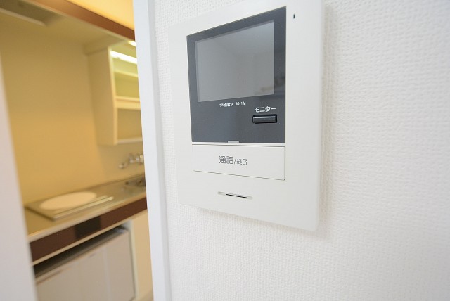 パレドール文京メトロプラザⅠ (18)　洋室