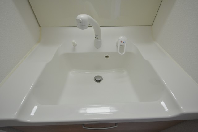 グリーンキャピタル第２笹塚 洗面台