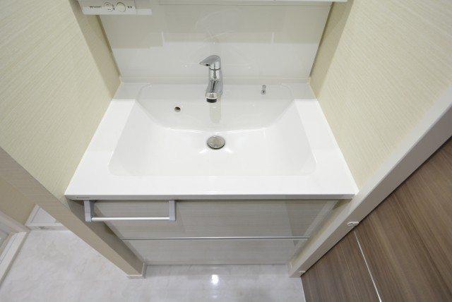 秀和第２高輪レジデンス 洗面室