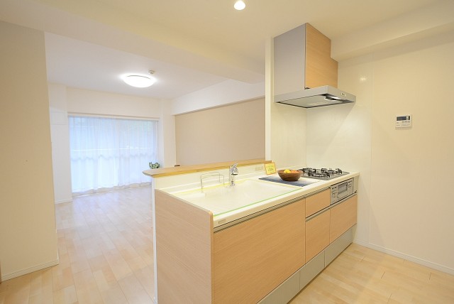 上池袋グリーンハイツ LD