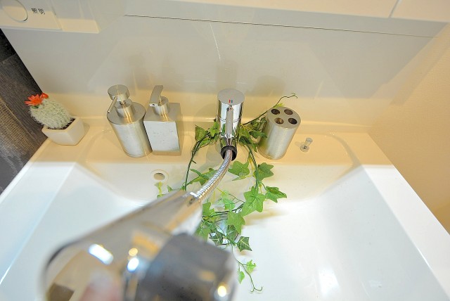 インペリアル常盤松 洗面