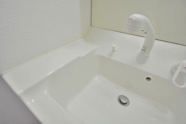 グリーンキャピタル第２笹塚 洗面台