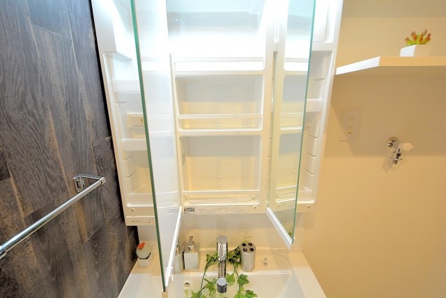 インペリアル常盤松 洗面