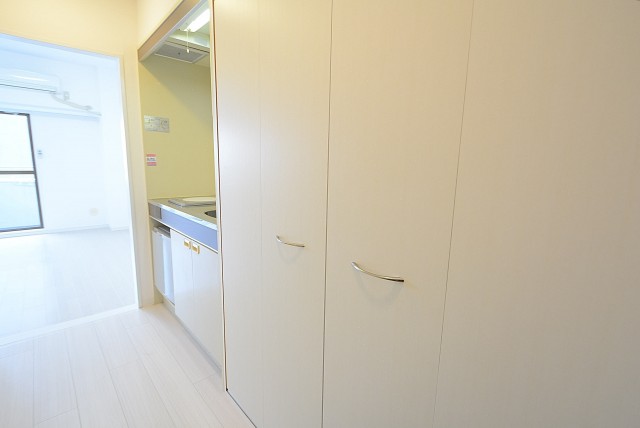 パレドール文京メトロプラザⅠ (8)　玄関