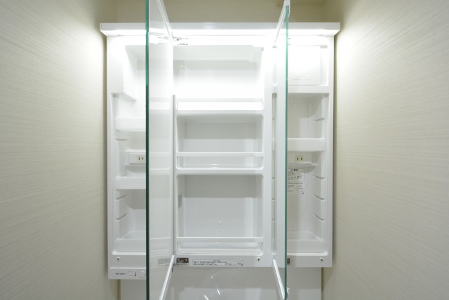 秀和第２高輪レジデンス 洗面室