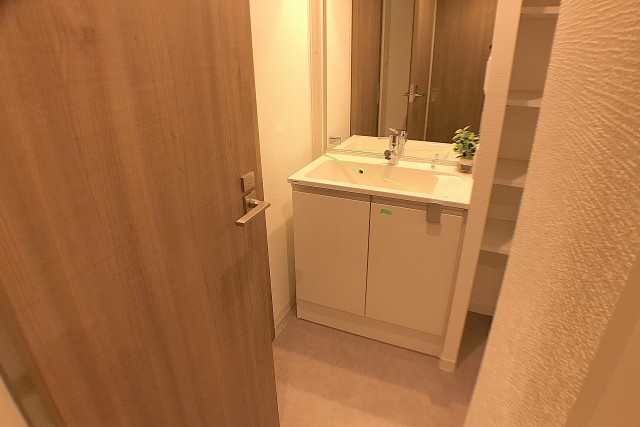 上高田四丁目団地 洗面