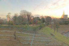 上高田四丁目団地 バルコニー