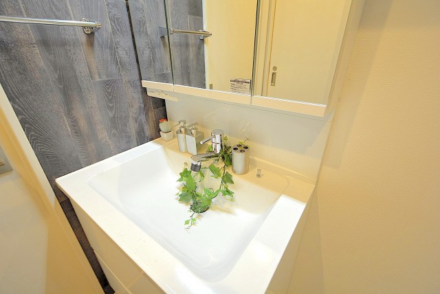 インペリアル常盤松 洗面