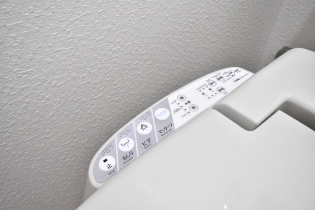 松濤マンション (42)トイレ