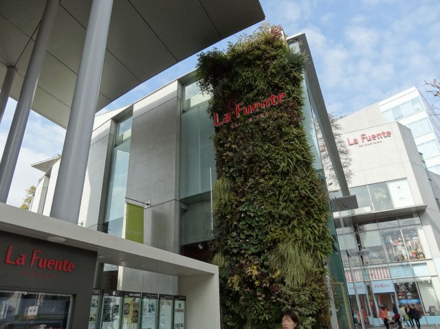 ハイネス代官山　ラフェンテ代官山