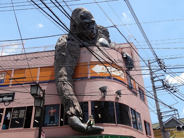 レジデンシャルスター三軒茶屋　ゴリラビル