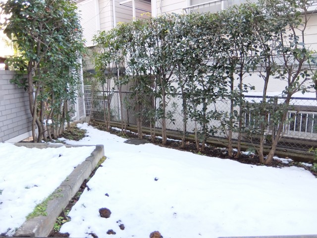 パレ・ド・エール砧　洋室眺望