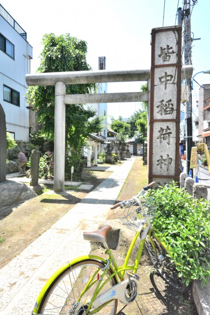 ヴィア・シテラ新宿　周辺