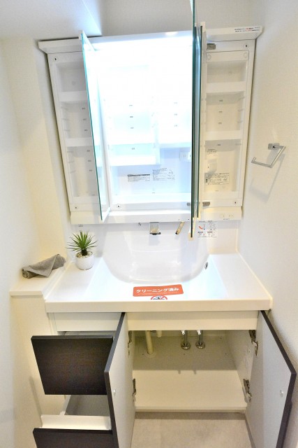 ヴィア・シテラ新宿　洗面台