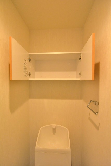 上池袋グリーンハイツ　トイレ