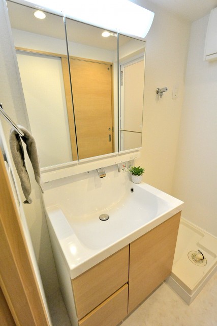 上池袋グリーンハイツ　洗面台