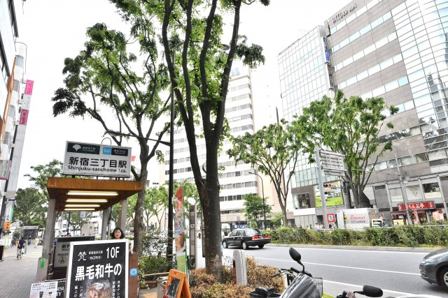 新宿内藤町ハウス　周辺