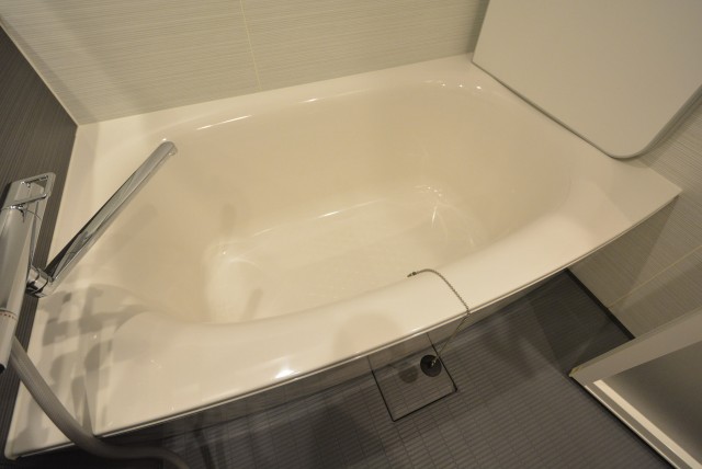 ルネ御苑プラザ313　浴槽