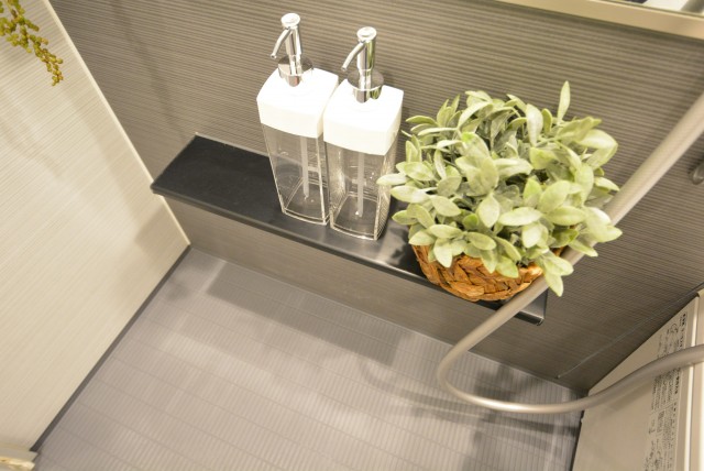 ルネ御苑プラザ313　棚