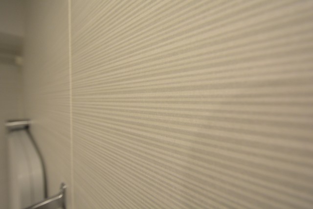 ルネ御苑プラザ313　壁