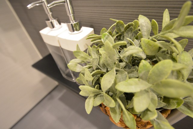 ルネ御苑プラザ313　棚