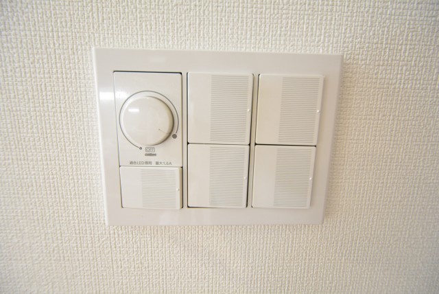 ルネ御苑プラザ313　ボタン