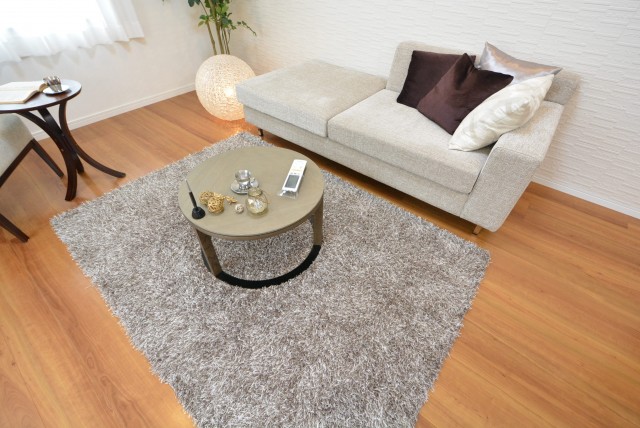 ルネ御苑プラザ313　ソファー